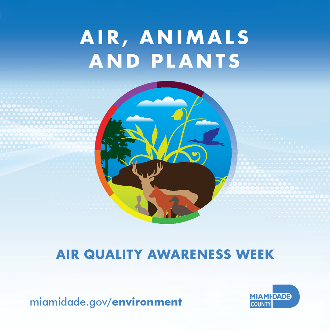 Closing out #AirQualityAwarenessWeek, it is important to remember that air pollution isn’t just harmful to human health. Airborne pollution can impact a wide range of plants and animals. DERM monitors the air quality to ensure healthy living conditions for all life in #OurCounty.