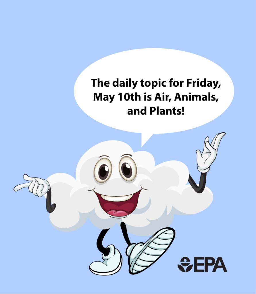 💭 DYK: Air pollution impacts animals and plants, too? Check out day 5 of #AQAW2024 to learn more about #AirAnimalsAndPlants. epa.gov/aqaw