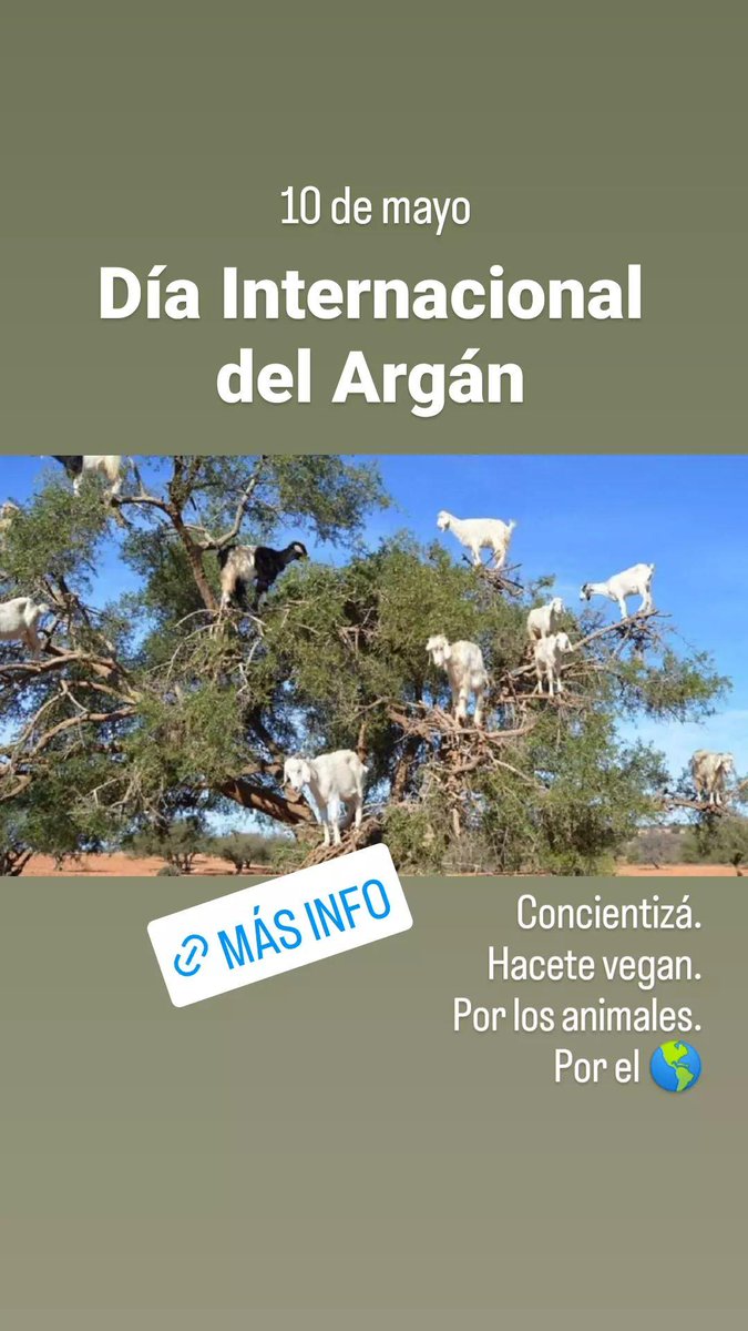 📅 10 de mayo 
.
.
Día Internacional del Argán 
.
.
Concientizá.
Hacete vegan.
Por los animales.
Por el 🌎.
.
Lo que hacemos a diario impacta en él.
.
#DiaInternacionalDelArgan #Argan #ArganiaDay #ArganTree #GoVegan