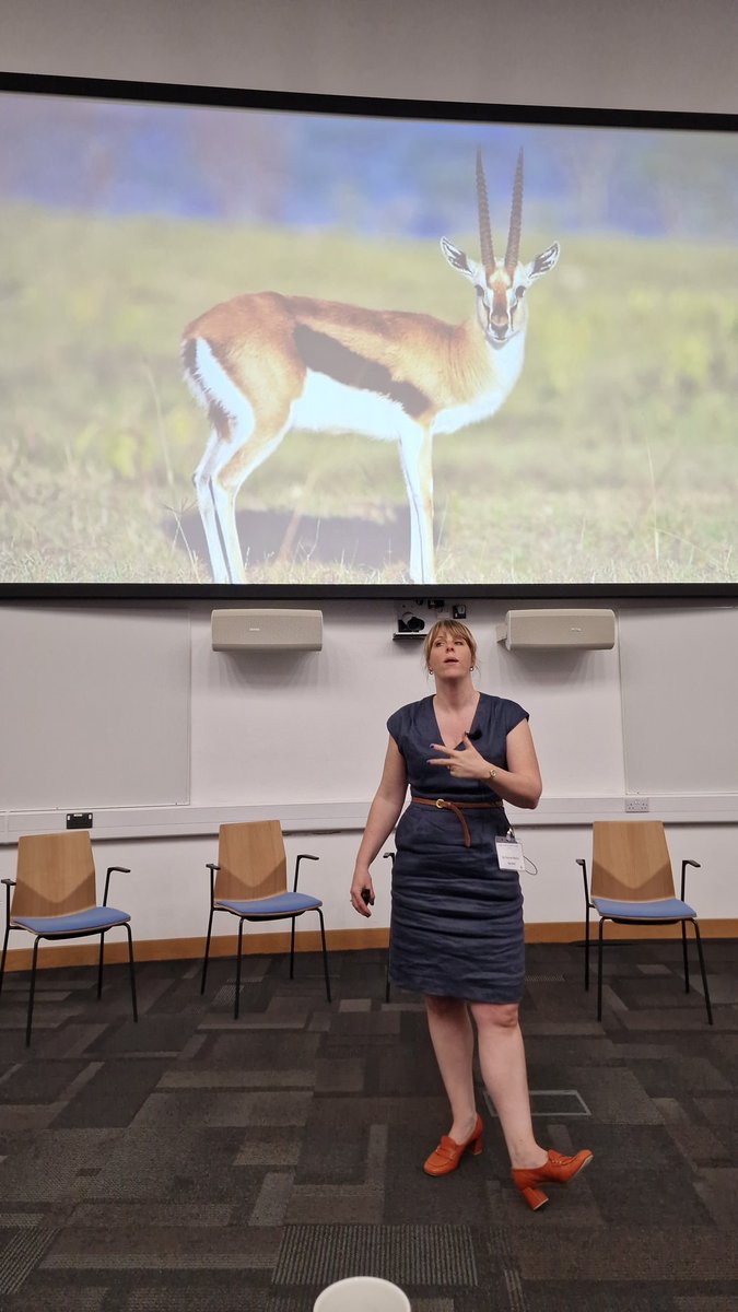 It's has always been thought that hard work leads to success which leads to happiness. However with work overload, being human and having limits, we must look after ourselves. Dr Rachel Morris. #MWFCONF24 #bemoregazelle