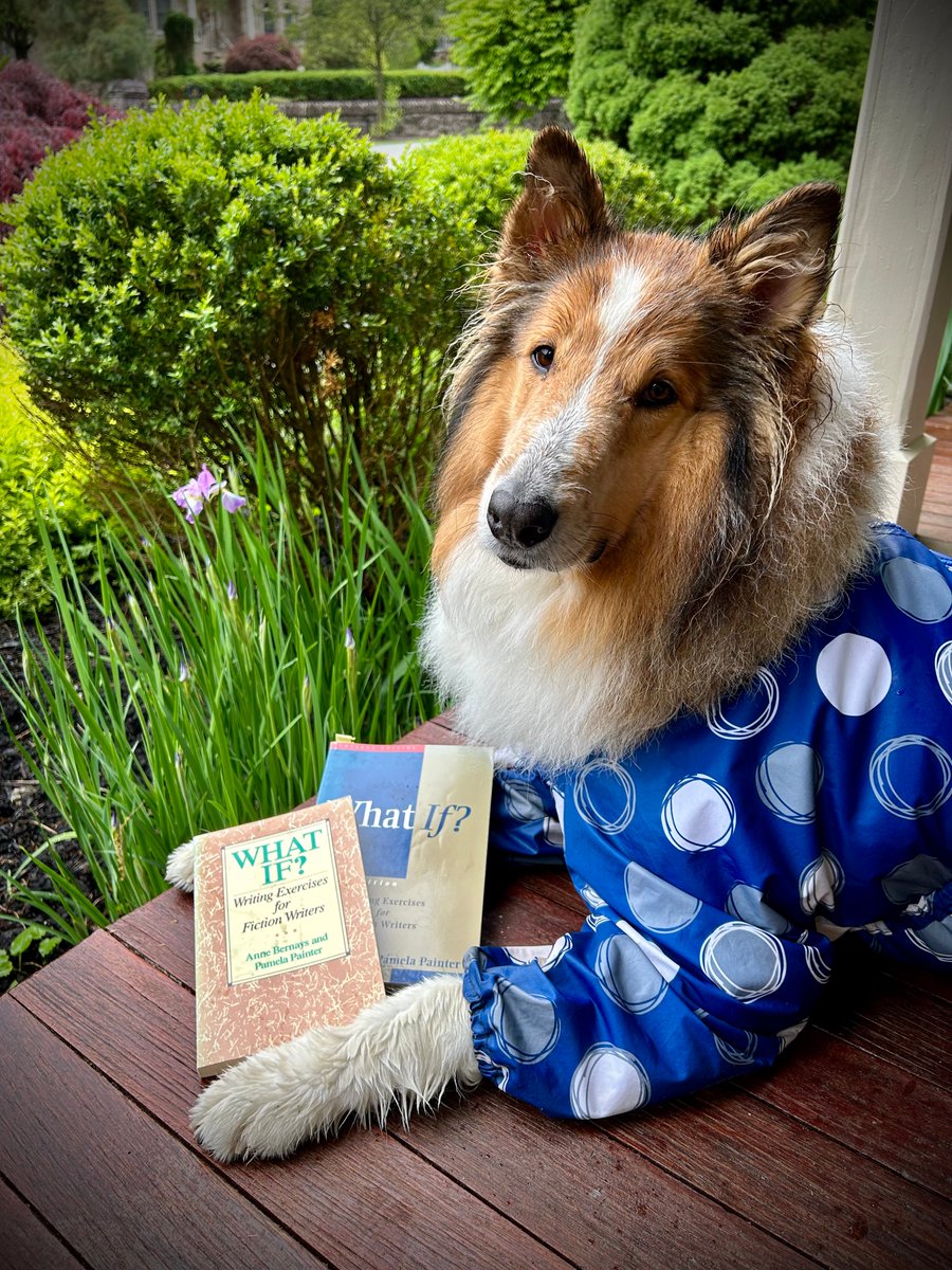 Denali the Collie here sharing the books I used to teach my human to write. WHAT IF by @xPamelaPainterx & @Anne_Bernays is my rainy day fav, with words by @margotlivesey & @margaretatwood. Props to @pam_houston for not subjecting the dog in her story to a raincoat! #fridayreads