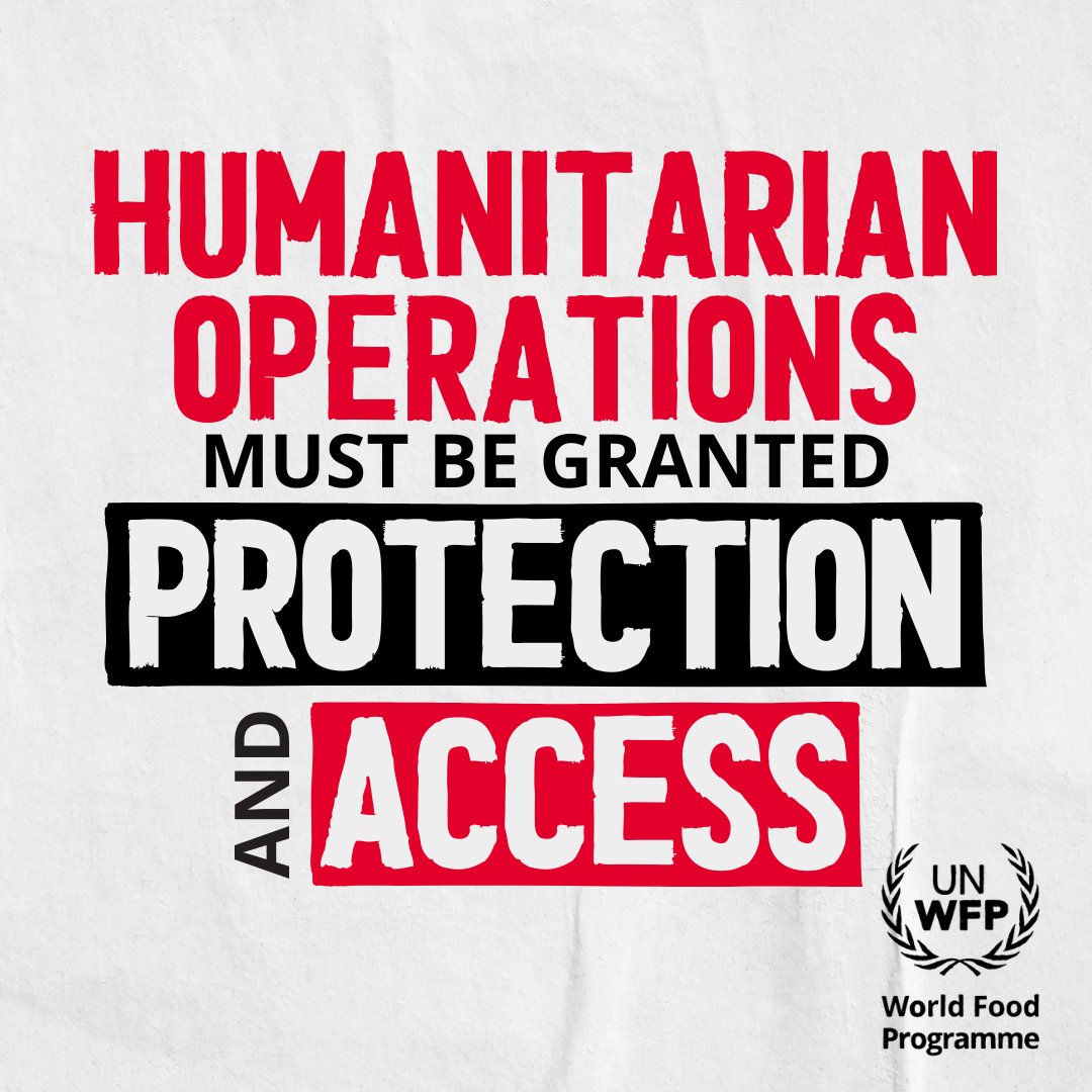 WFP's tweet photo. No aid has entered #Gaza from the southern crossings in 3 days and only one bakery in Rafah is functioning.

Without a reopening of access, WFP's operations will go into standstill while families run out of food. https://t.co/LfaeKSgQS2