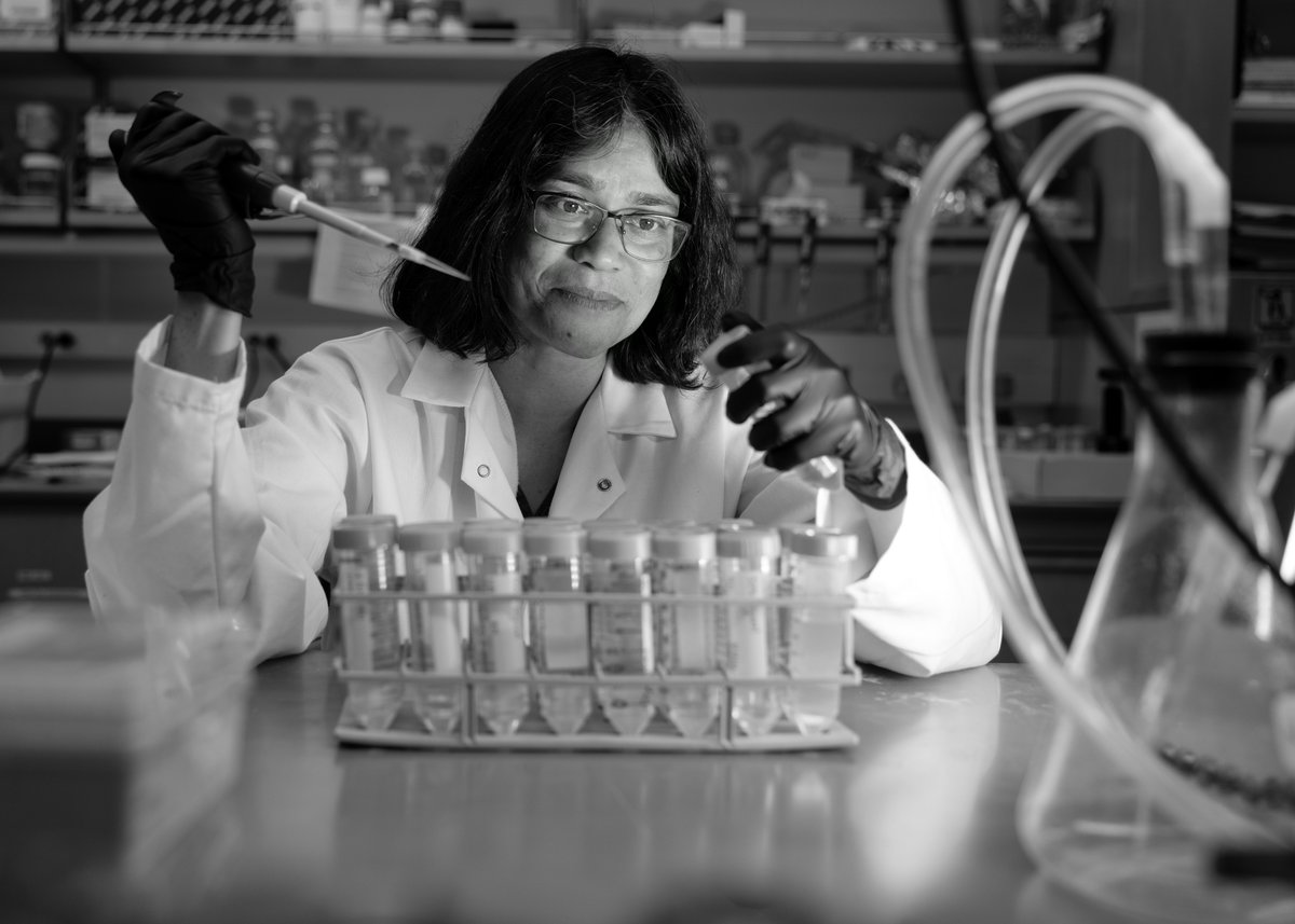 The Scientist. Portrait of @ucsf Professor and @theNASciences member, Dr Geeta Narlikar for @theNASEM. Professor Narlikar studies epigenetic regulation and genome organization. @UCSFBiophysics #NewHeroes #ScienceInService