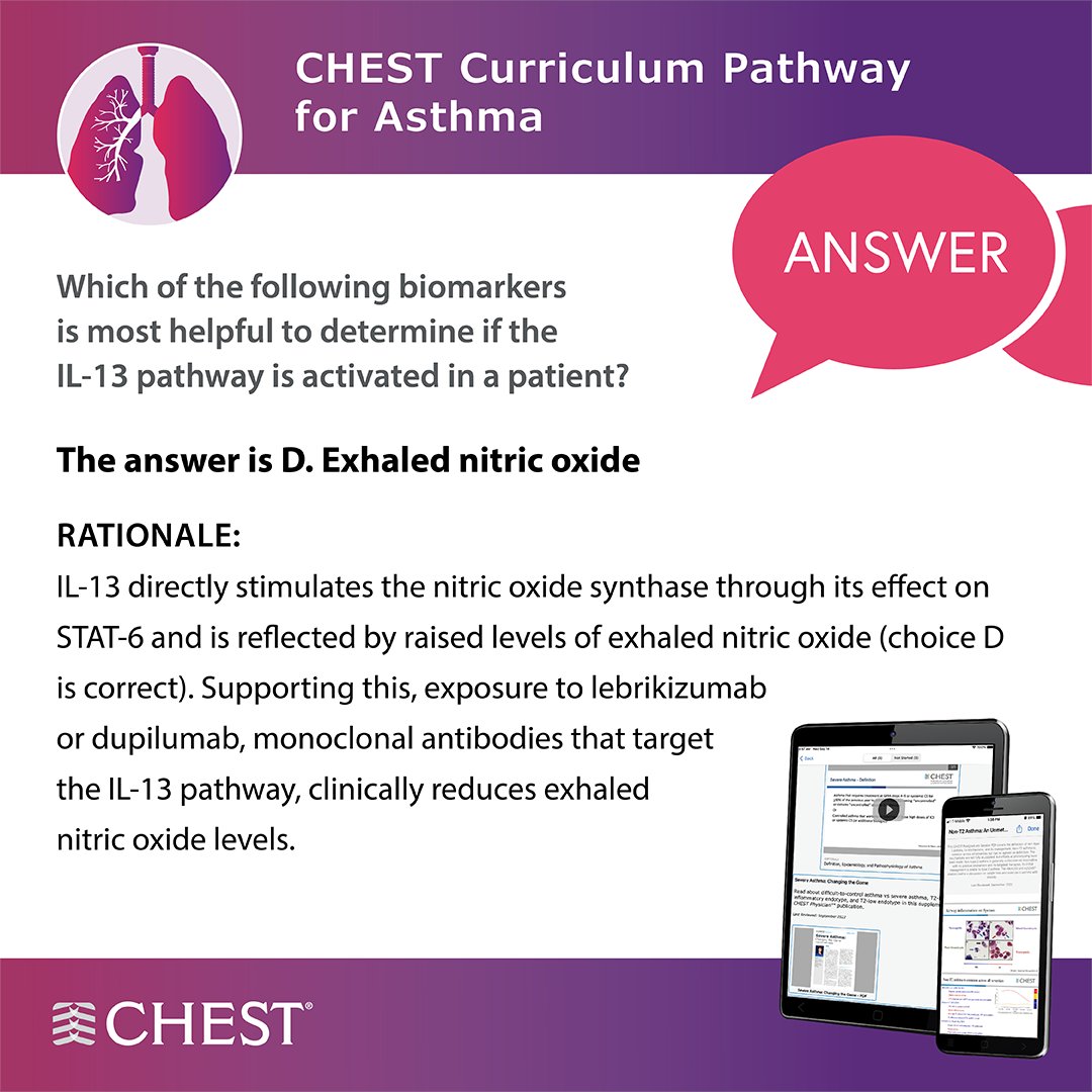 CHEST Curriculum Pathway question for #WorldAsthmaDay: 'Which of the following biomarkers is most helpful to determine if the IL-13 pathway is activated in a patient?' The answer is...D. Did you get it right? hubs.la/Q02w3WjY0 #AsthmaAwarenessMonth