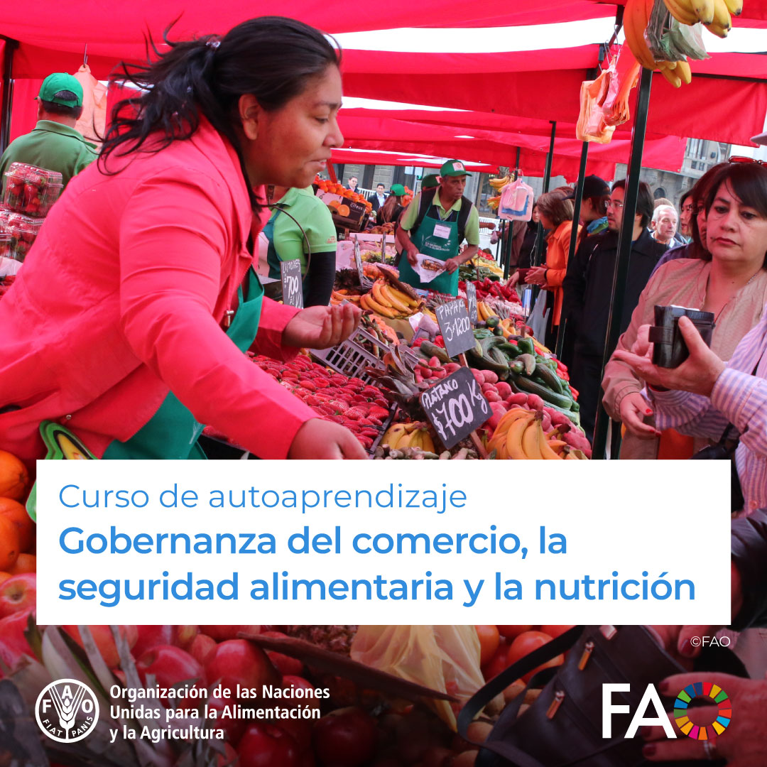🎓 Curso gratuito en @FAOCampus 🍽️ Gobernanza del comercio, la seguridad alimentaria y la nutrición Examina el margen de acción y la coherencia de las políticas para la seguridad alimentaria en el sistema multilateral de comercio ¡Matricúlate! ➡️ ow.ly/Olni50QmjQI @FAO