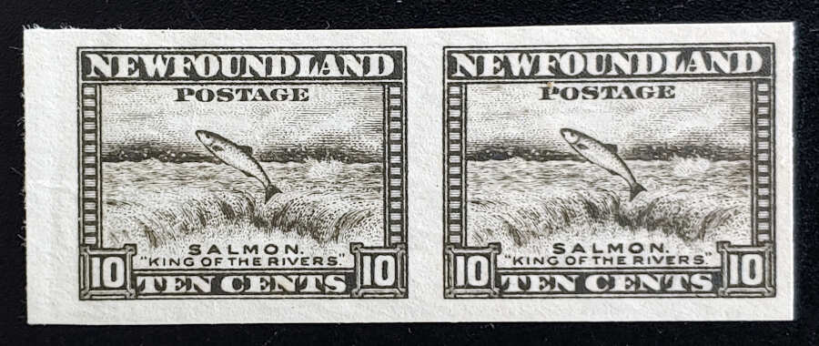 Newfoundland #193a VF Unused 1932/37 10c Imperforate Pair $150 Lot 106 in our auction Saturday 11th May 2024 #10cImperfPair #ImperforatePair #NewfoundlandStamps #Salmon bit.ly/44DtGsx