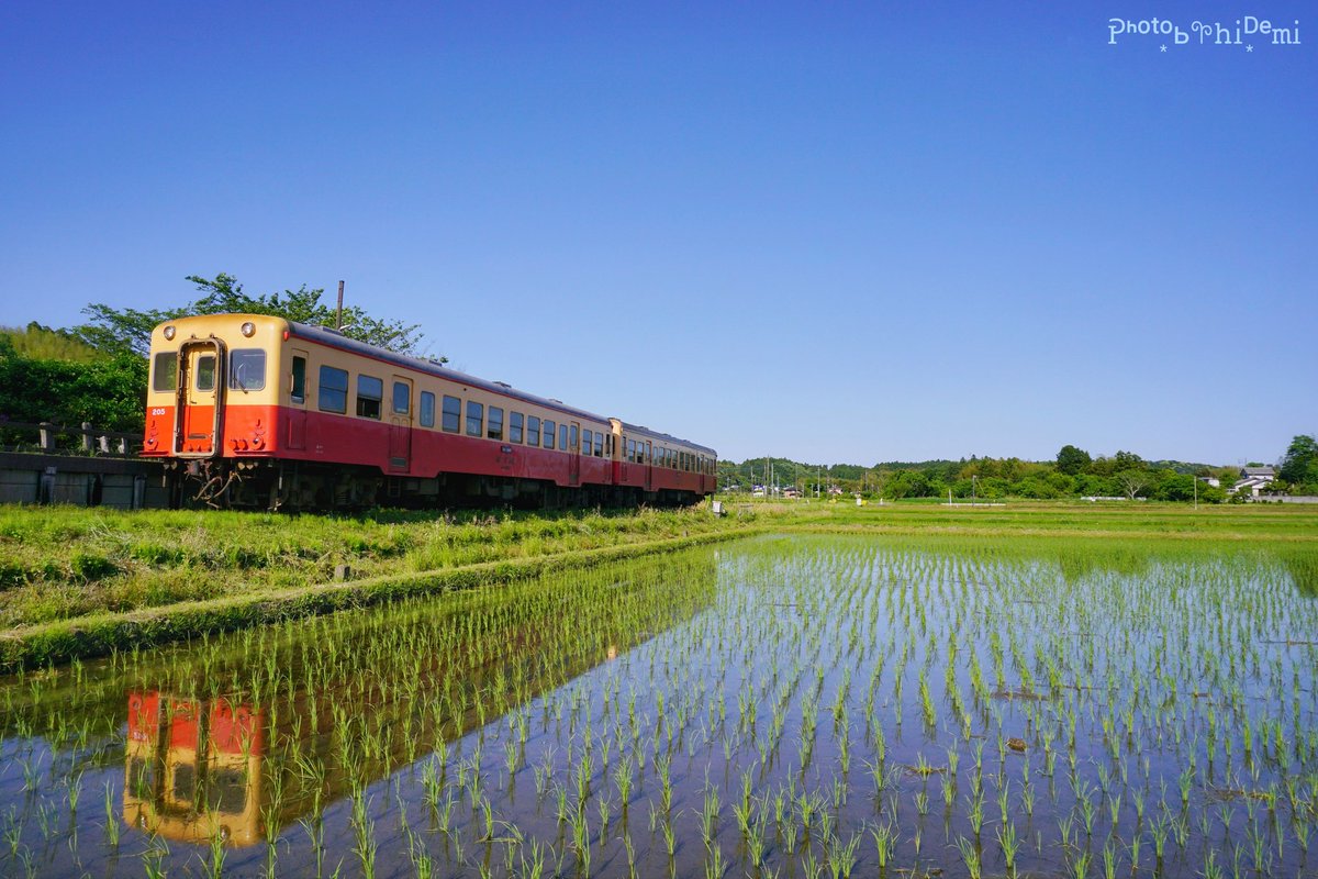 hidemi21's tweet photo. 青空水鏡 ·˖◍*
2024.5.10☀️撮影
#房総 #千葉県 #市原市 #小湊鉄道 #キハ #撮り鉄 #ゆる鉄 #田んぼ #水鏡 #里山 #鉄道風景 #japancountryside #japan #boso #chiba #ichihara #kominatorail #localline #localstation #railroad #train #ricefield #reflection
https://t.co/popNDw3xCR https://t.co/q5yoxgHpPQ