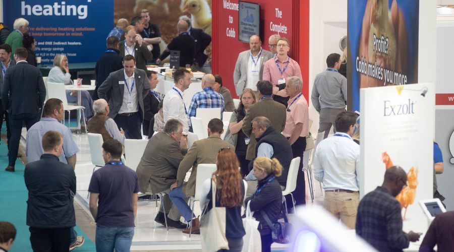 FarmersGuide's tweet image. Livestock farmers have been invited to attend the British #Pig &amp;amp; #Poultry Fair next week. This free event offers a two-day packed event of forums, networking, expert advice and new products 🐷🐔

farmersguide.co.uk/rural/show-eve…

@PigPoultry #LivestockShow #UKFarming