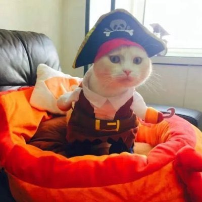 Pirates Of The Catribbean CTO tweet media
