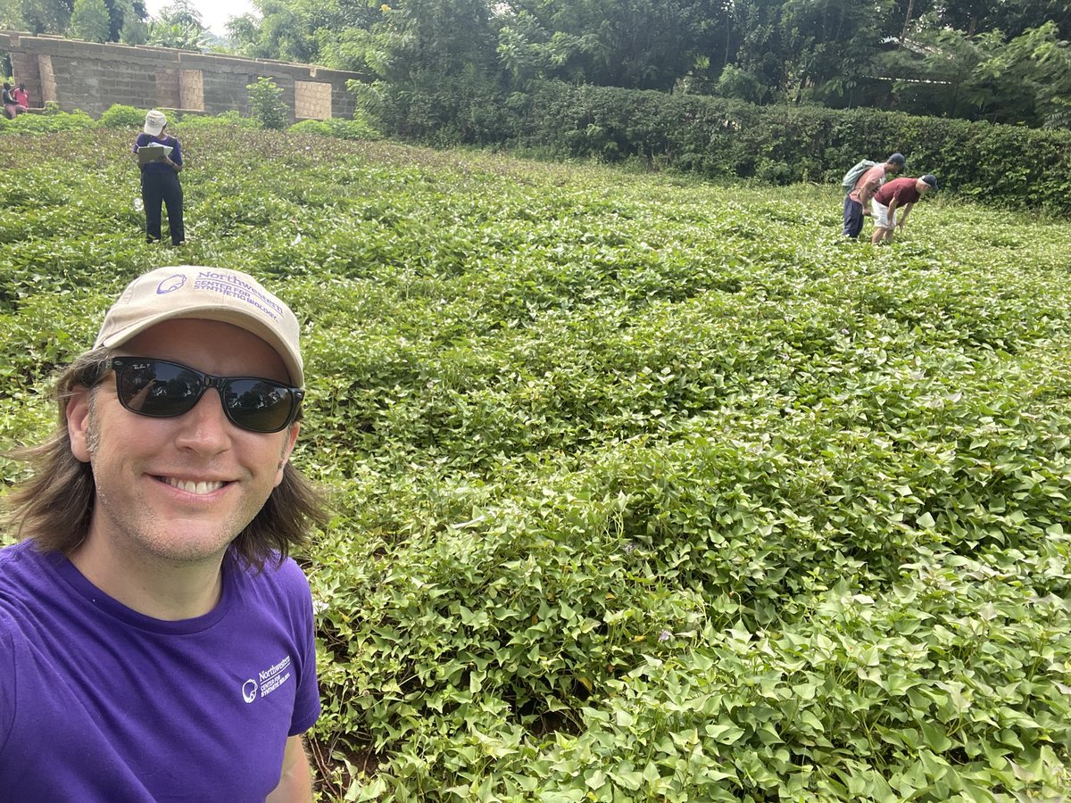 Updates from the field. Visiting lots of sweet potato fields and trying out our tests. Learning some important things about field work and reaction performance in the heat (30C!). VERY positive feedback from farmers - they want tests ASAP! @NUSynBio #synbiofortheplanet