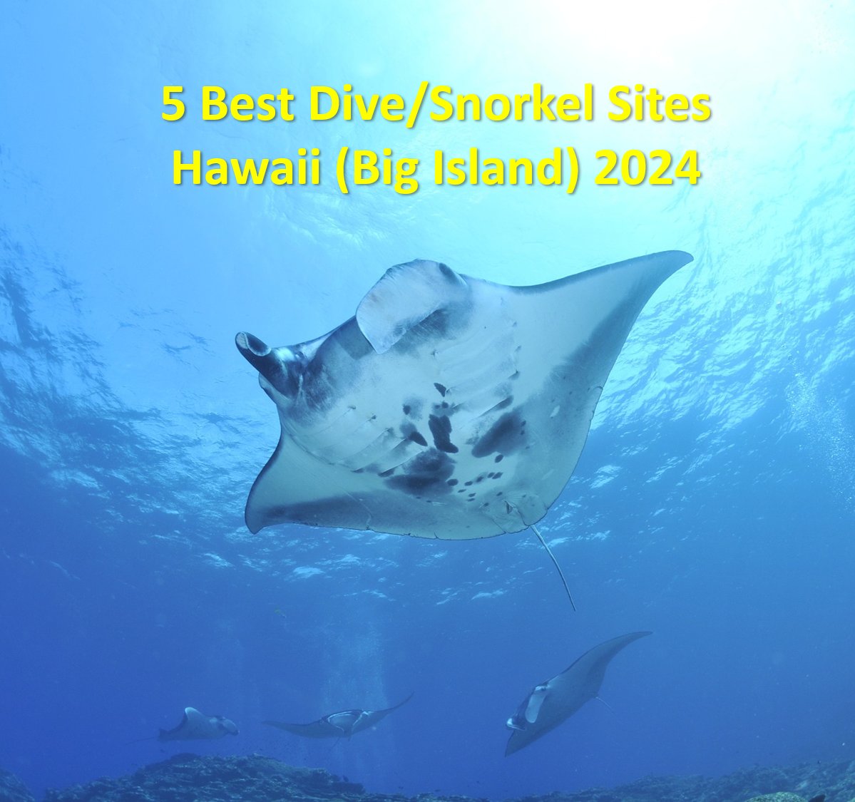 🤿5 Best Dive/Snorkel Sites in Hawaii (Big Island) in 2024
 
 1. Kahalu'u Beach
 2. Mile 4 Marker
 3. Manta Ray Night Dive
 4. Place of Refuge (Two Step)
 5. Kailua Pier

View List: thescubadirectory.com/dive-guides/Un…
 
#Hawaii #BigIsland #Snorkel #GOHAWAII  #ScubaDivingMag #PADI #paditv