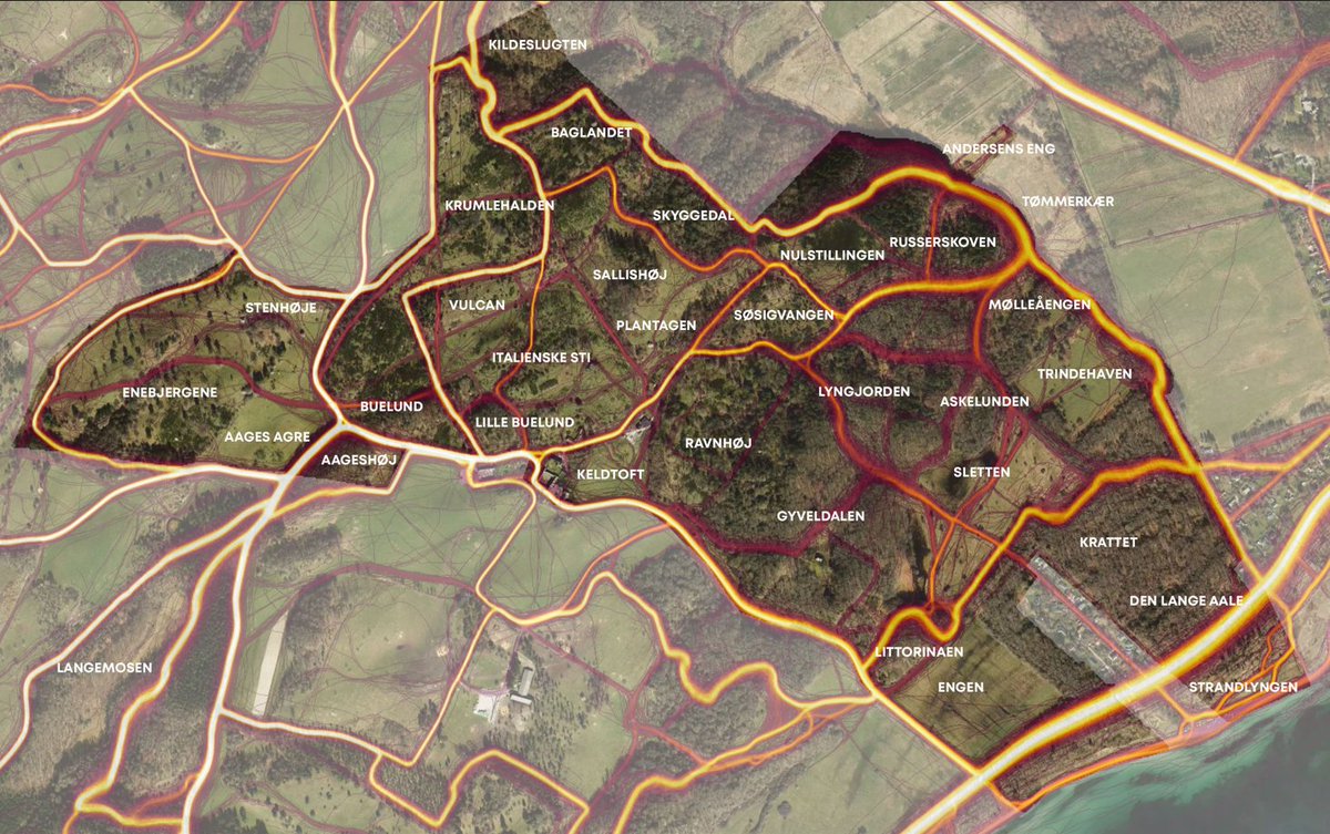 Morten DD tweet media