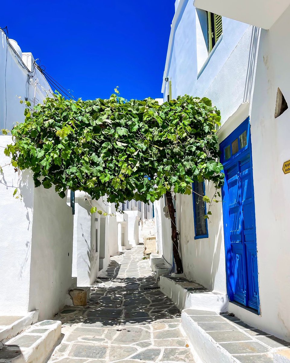 In #Sifnos, every corner holds a promise of peace, with blue doors opening to the rhythm of island life. 🇬🇷 #Kastro
📷 travelgreece