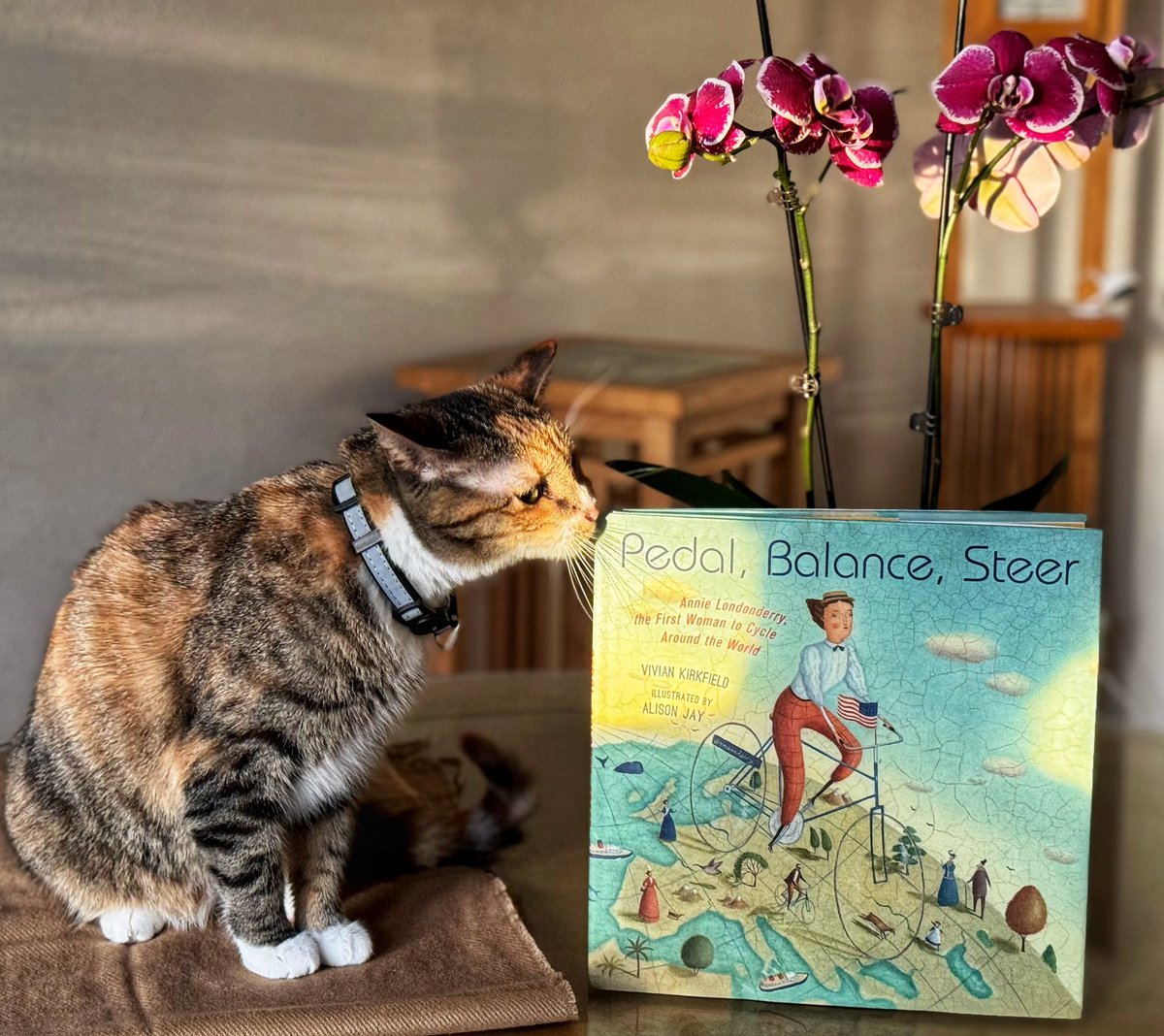 Solar is checking out Pedal, Balance, Steer by the talented @viviankirkfield 🌺🌺🌺📚📚📚❤️❤️❤️ #k12 #pb #NonFiction @astrakidsbooks