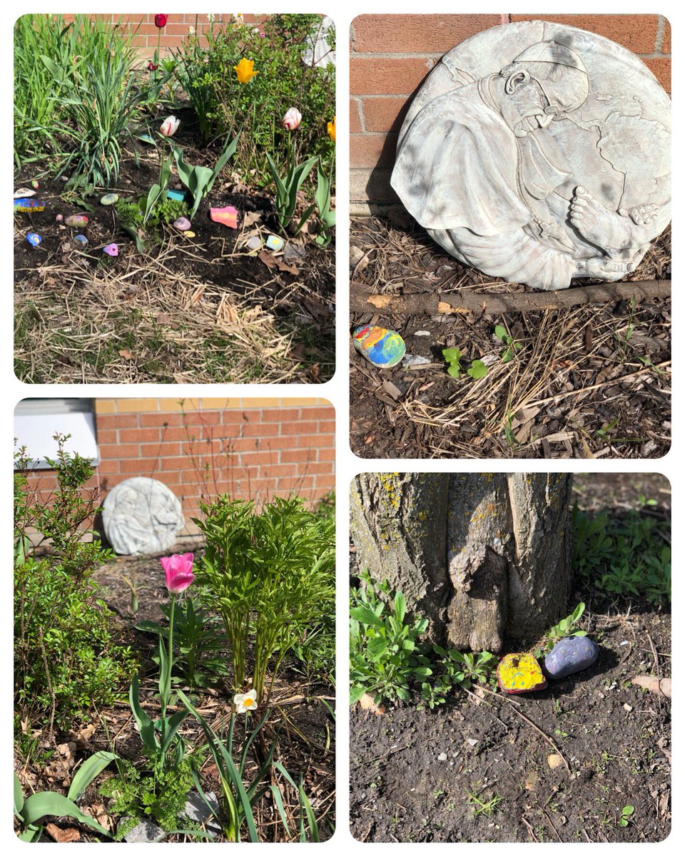 Today @KCBusyBees we worked together with @ChantalRemo grade 4 buddies to place painted rocks outside after spring cleaning! 🙏♥️💚 #ocsbBeWell #ocsbBeCommunity #ocsbOutdoors #ocsbEco @StAnneOCSB @ocsbEco @StAnneECO1 @MmeNicoletti @karenmitchell18