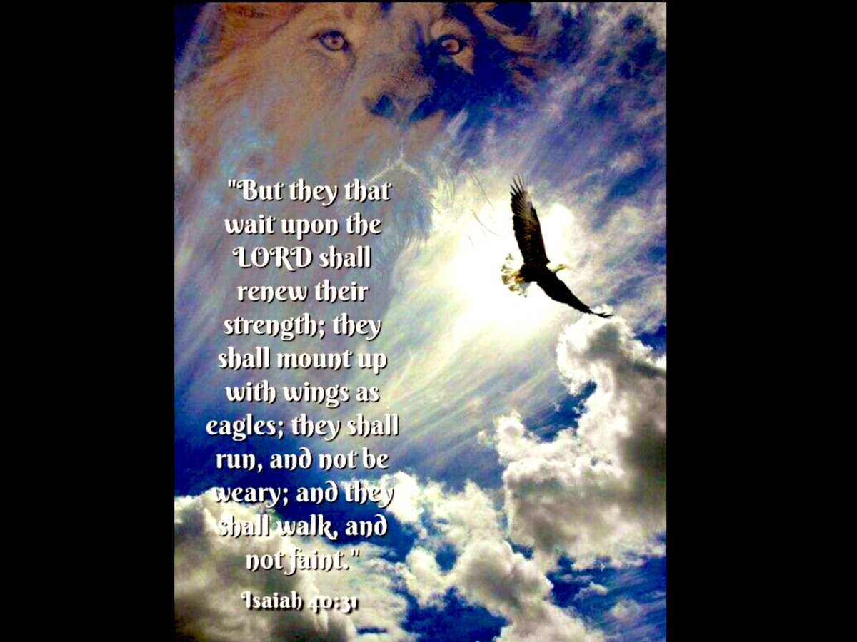 He giveth power to the faint; and to them that have no might he increaseth strength. Even the youths shall faint and be weary, and the young men shall utterly fall; ~ISAIAH 40:29-30 (KJV)