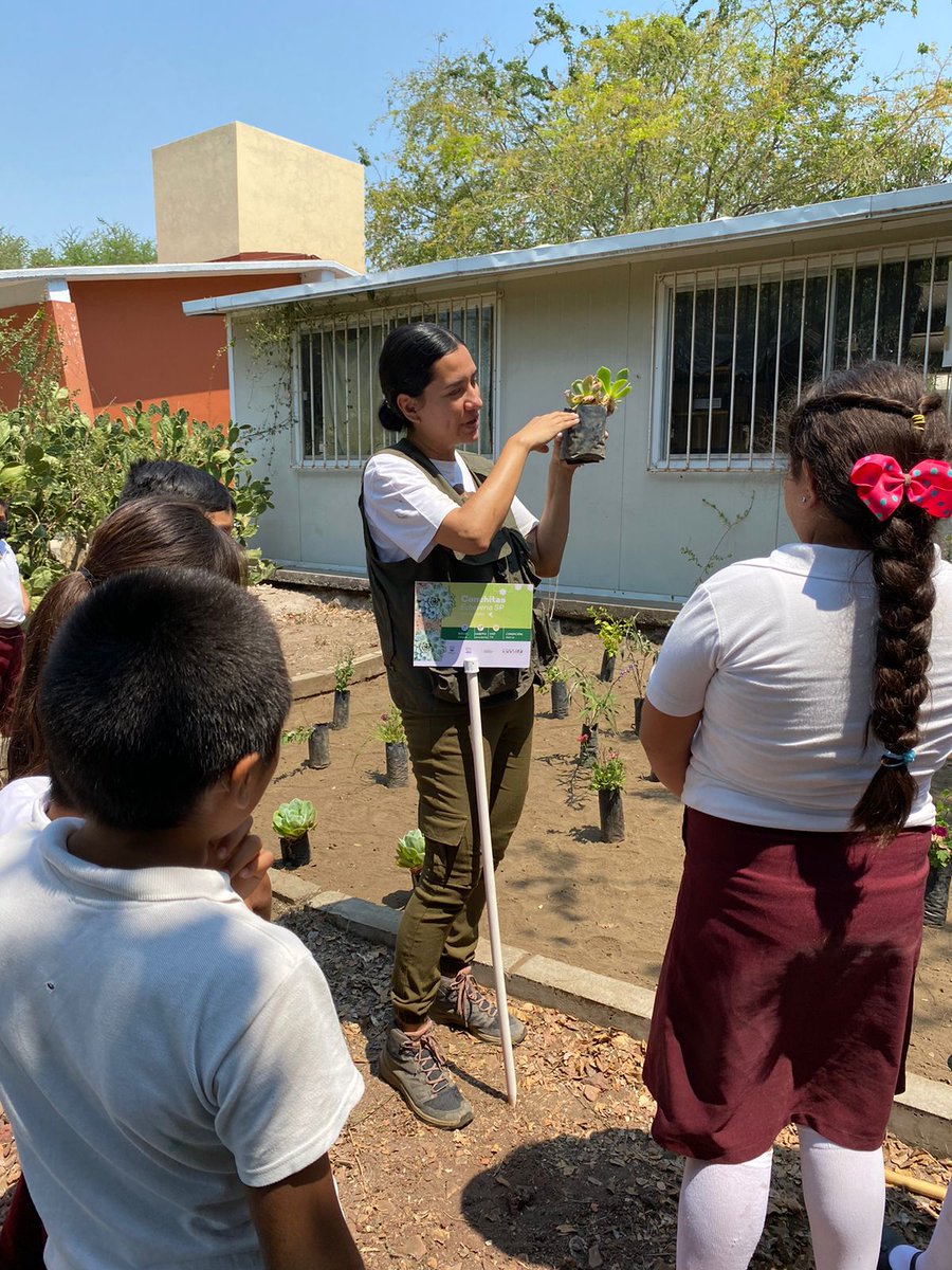 🌺🐝 ENSEÑAN IMPORTANCIA DE LOS POLINIZADORES A LA NIÑEZ DE TEPETZINGO EN EMILIANO ZAPATA.

Se instaló un jardín polinizador número 39 en la Primaria “Emiliano Zapata”, de la comunidad de Tepetzingo.

Toda la información 👉 morelos.gob.mx/?q=prensa/nota…