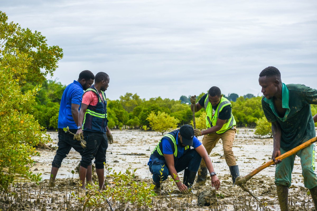 A team from #KCAA today joined residents in Jomvu, Mombasa County, as part of Kenya’s national tree planting efforts. The country aims to increase tree cover significantly over the next ten years in an effort to reverse the impact of climate change. #KCAACares