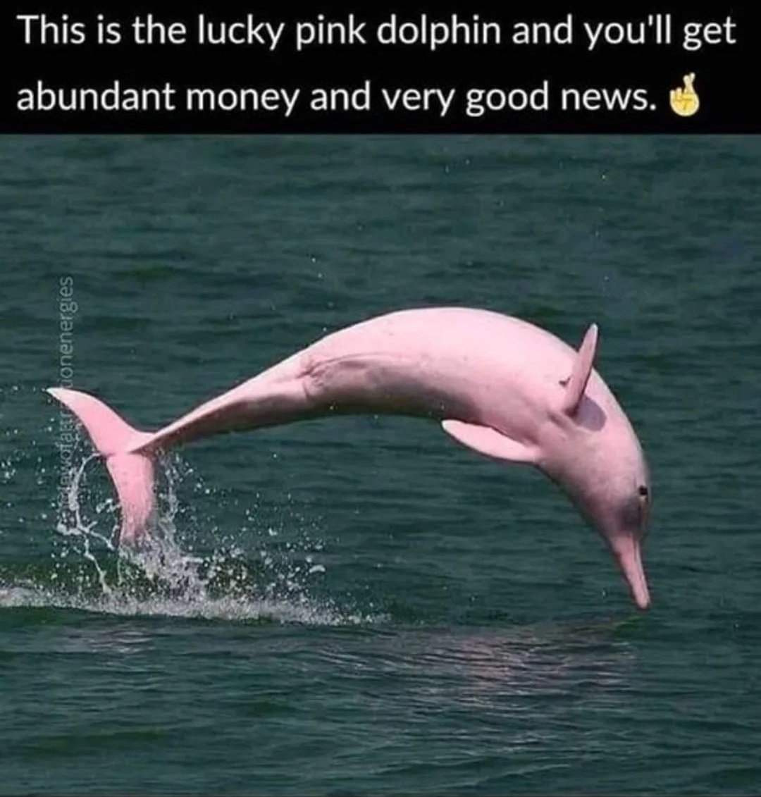 imoneymantra's tweet image. REPOST for Good Luck 🤞🍀!!!