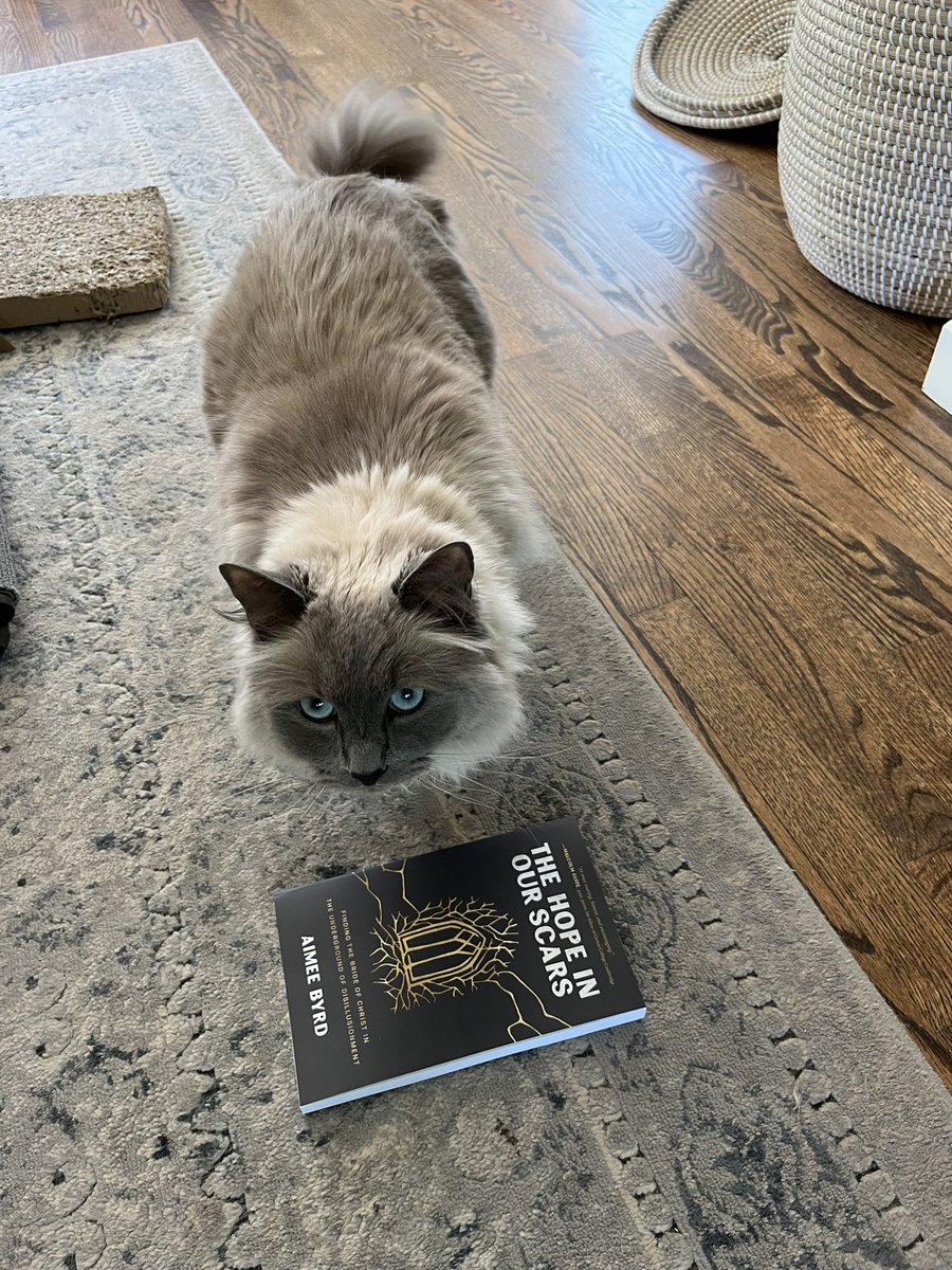 Dwight my #theologycat recommends you make sure you’re subscribed at Church Blogmatics so you don’t miss Monday’s moving interview with Aimee Byrd about her new book *The Hope in Our Scars.* bethfelkerjones.substack.com