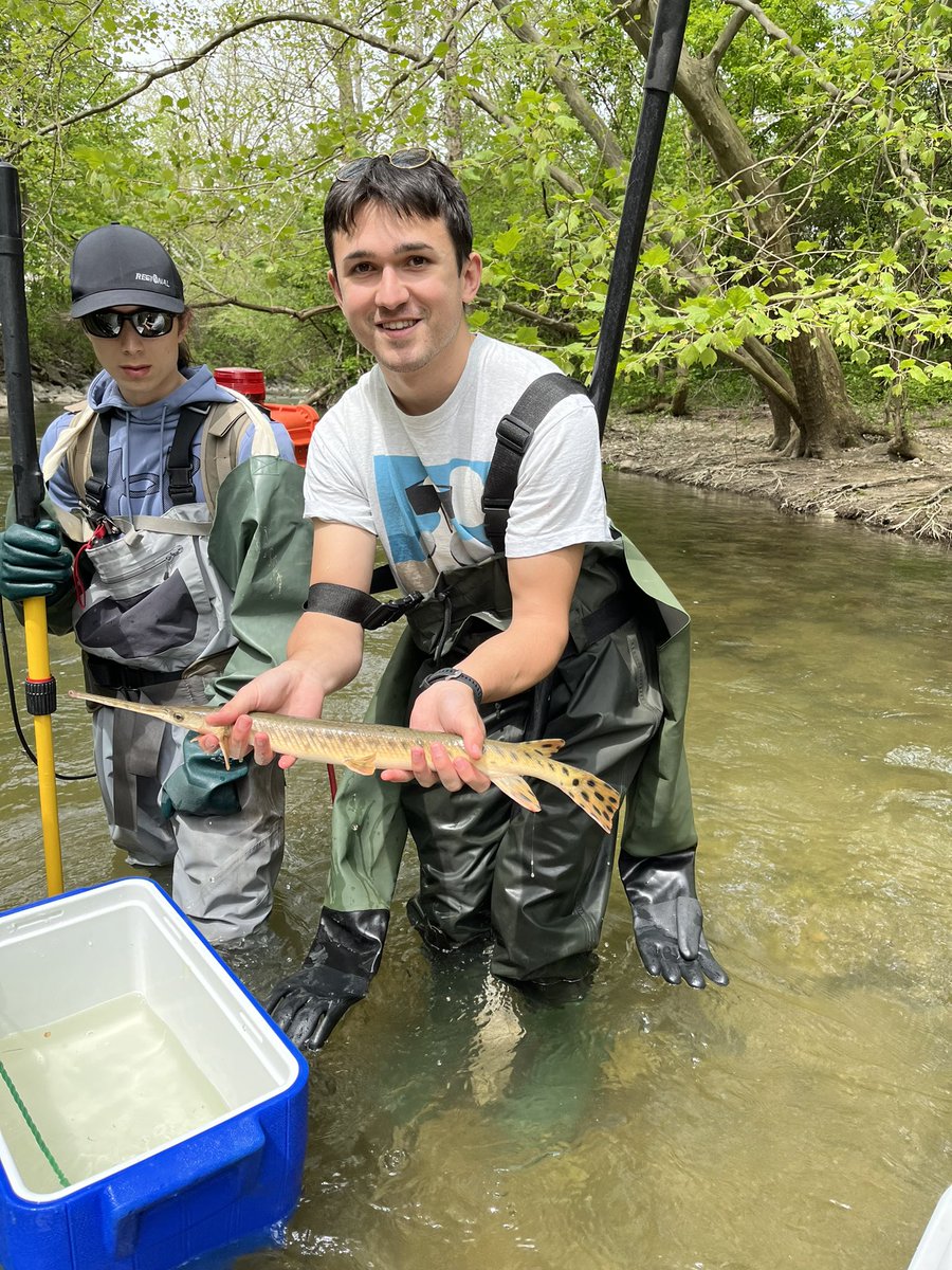 Tim Hain (@tjahain) on Twitter photo Electrofishing surveys of Medway Creek at #uwo have turned up some cool fish, like this Northern Hog Sucker and Longnose Gar. <a href="/westernuSustain/">Western Sustainability</a> Electrofishing surveys of Medway Creek at #uwo have turned up some cool fish, like this Northern Hog Sucker and Longnose Gar. <a href="/westernuSustain/">Western Sustainability</a>