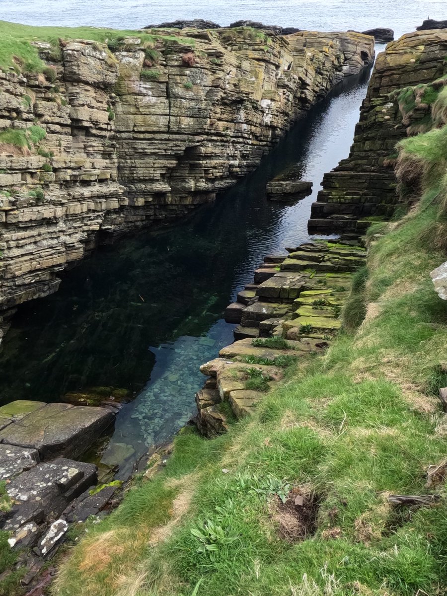 Orkney Uncovered tweet media