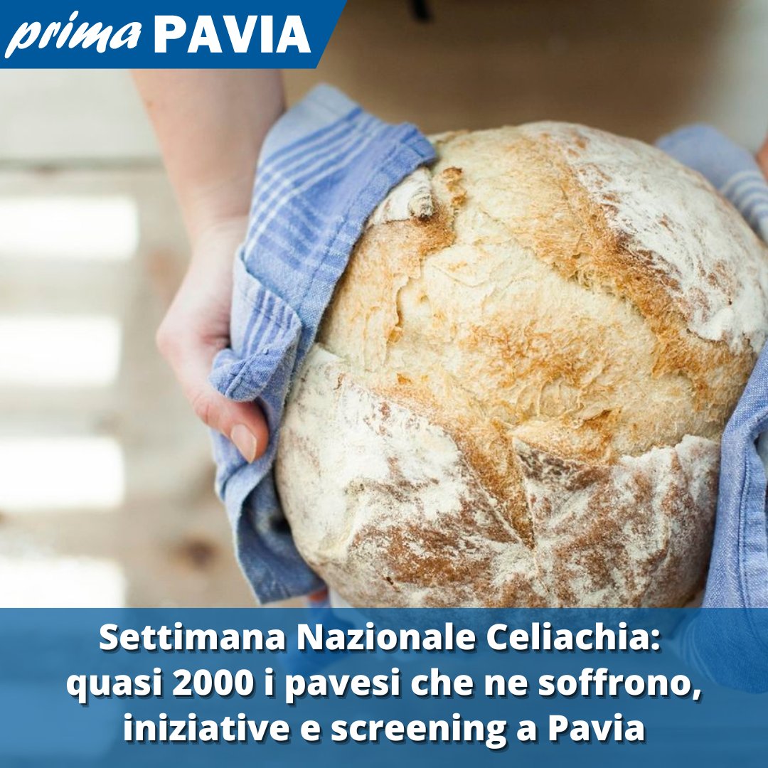 LEGGI QUI: primapavia.it/attualita/sett…
#Celiachia #Pavia #SettimanaCeliachia #Screening #MalattiaCeliaca #DietaSenzaGlutine #Glutine  #AICLombardia #Notizie #PaviaCity