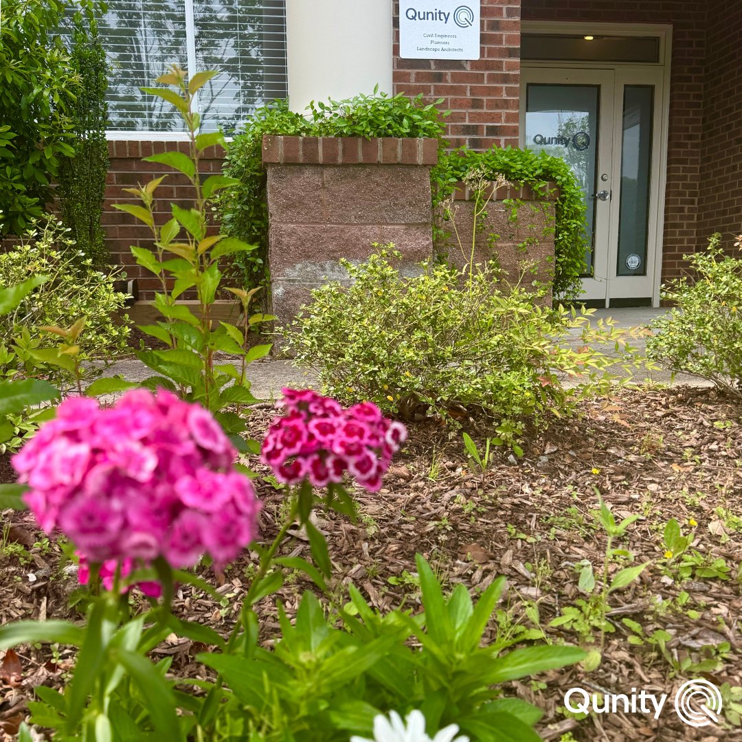 QunityOfficial's tweet image. 💚 Happy #PublicGardensDay 💚 Our public (office) garden is loading...These blooms have come back each year, but they will look a little different soon! Find a garden near you to enjoy a day trip and a great change of scenery!

#NationalPublicGardensDay #Plants #GoPublicGardens