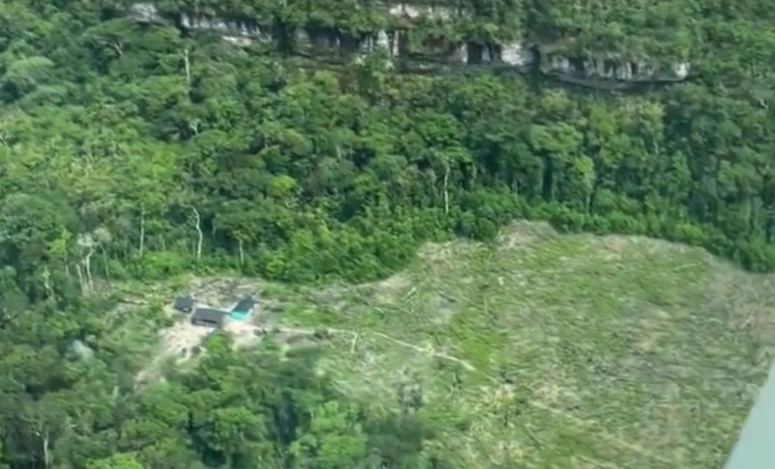 ¿A quién le pertenece la ganadería que está deforestando los parques nacionales? ¿Por qué pueden actuar de esta manera tan descarada y desafiante?