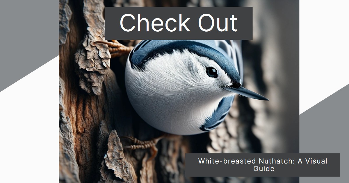 Spot the White-breasted Nuthatch in our new video! Learn about its unique traits and why it’s a favorite among bird watchers.

youtu.be/lRB7JM-79Mk

#birdingtips #nature #birdlife