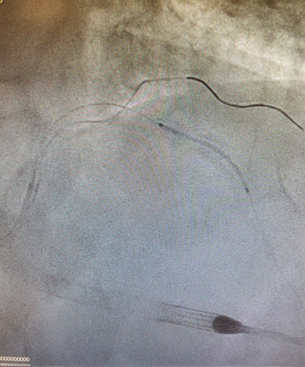 tawfiq r choudhury 💙 tweet media