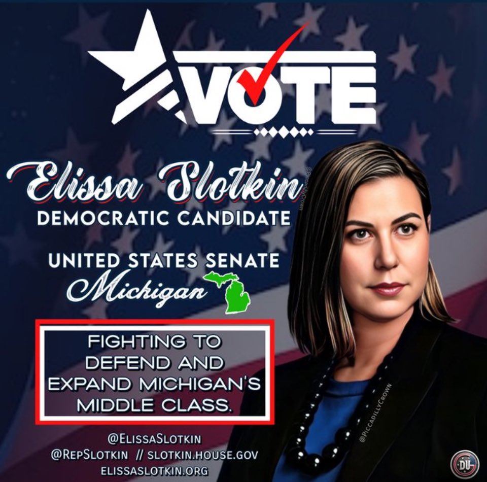 Yo Michigan! Would you like an intelligent, highly qualified, hard working, patriotic Senator? All you gotta do is vote for District 8 Representative @ElissaSlotkin #Allied4Dems #ProudBlue #DemsUnited ElissaSlotkin.org