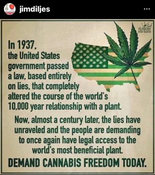 Just a reminder that hemp could be used to make carbon neutral biofuel, the US military is the biggest consumer of fuel and we have been dependent on fossil fuels & fighting wars for resources unnecessarily by design. 
#endfossilfuels
#NoMoreWars 
#growhemp