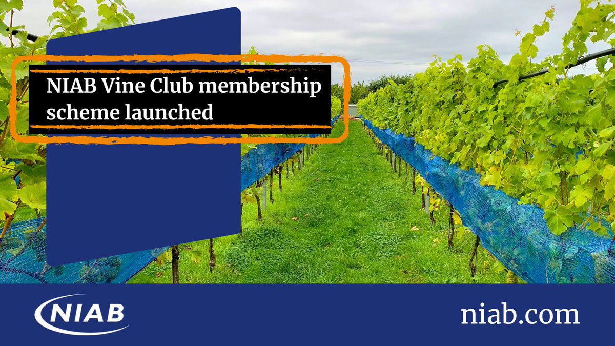📢News: NIAB Vine Club Membership Scheme launched The NIAB Vine Club will bridge the gap between viticulture plant science and practical application, ensuring members will be the first to benefit from emerging, innovative research. Full story and join ➡️ niab.com/news-views/new…
