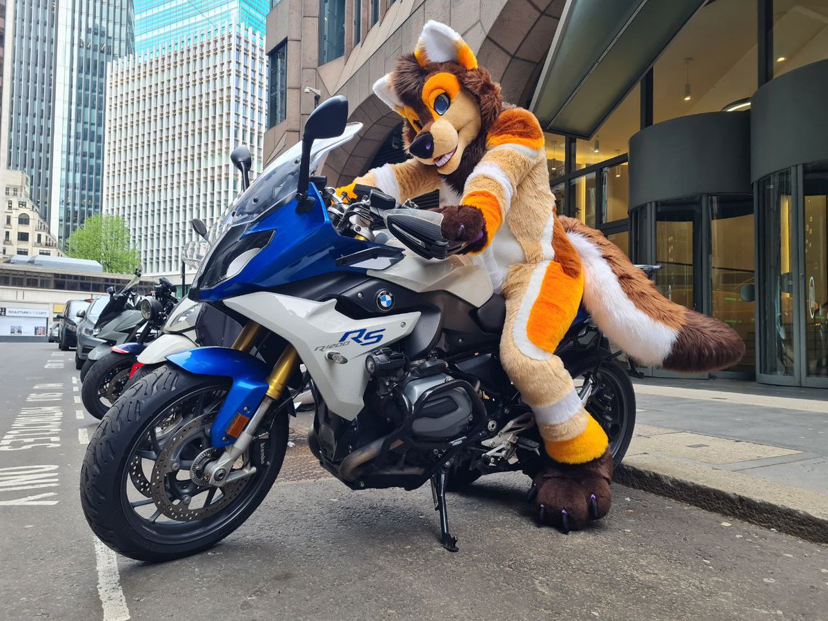 You wanna ride? Hop on, let's zoom! 🏍️📸 @CyonFR 🪡 @MadeByMercury #FursuitFriday