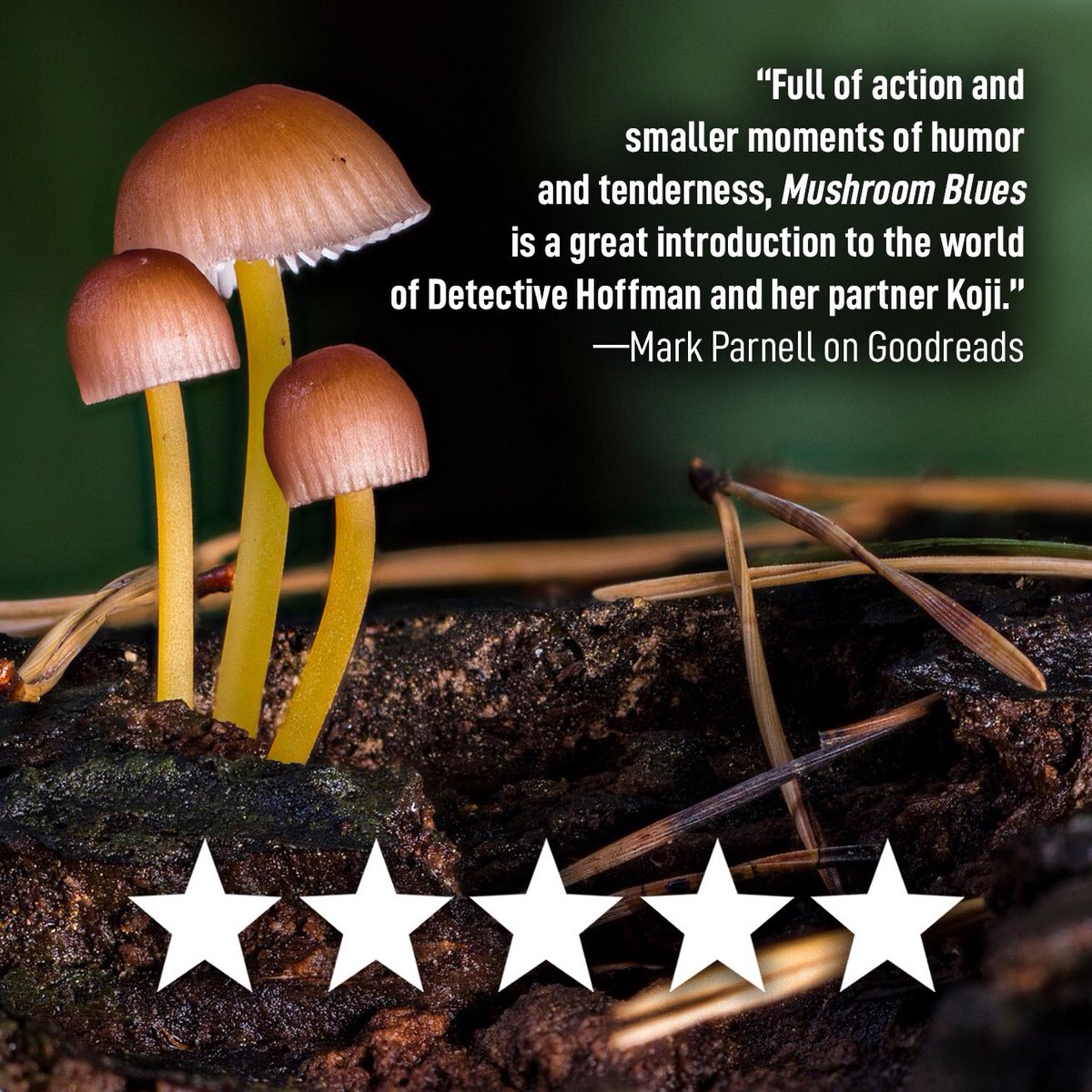 I love hearing what readers think of #MushroomBlues, and this 5⭐️ review from Mark Parnell was such a pleasure to read. Thank you for the positive review 🍄💙

BUY A COPY:
Paperback: amzn.to/3VoOBNF
Hardcover: amzn.to/3vs5nAO
eBook/KU: a.co/d/fIKaQ9q