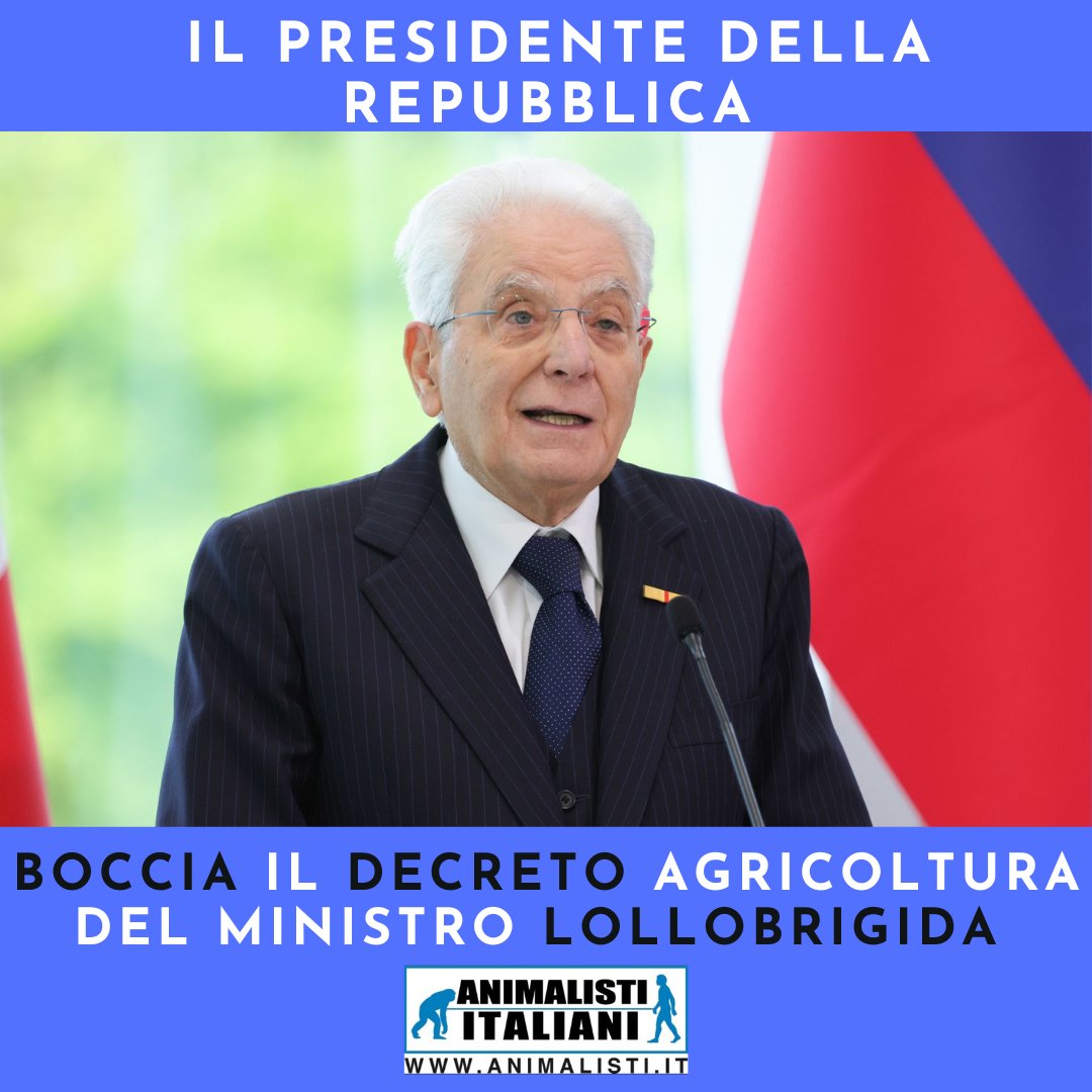 DECRETO AGRICOLTURA CONTRO NATURA. PLAUSO AL PRESIDENTE DELLA REPUBBLICA CHE LO BLOCCA.  Per saperne di più leggi il nostro comunicato stampa
animalisti.it