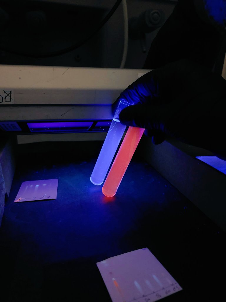 Amazing couple of dyes produced by our Suzi. Happy #fluorescentfriday