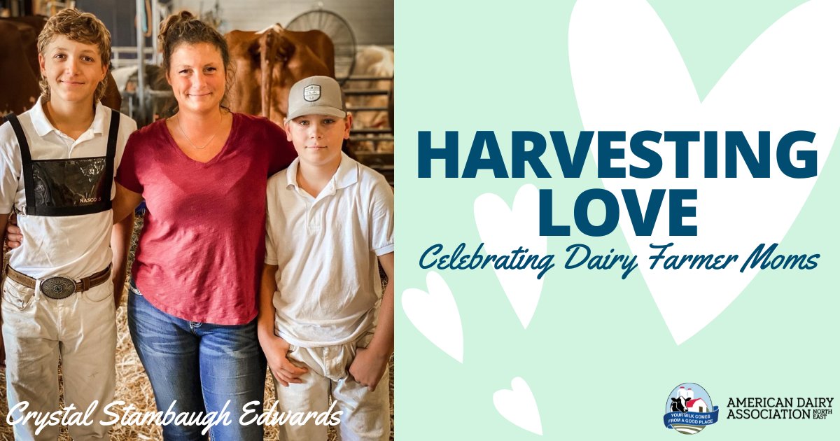 Crystal Stambaugh Edwards of Pheasant Echos Farm is a mom of two boys who grew up on the farm. What is it like for her raising children as a working (farming) parent? Read about it in our Mother's Day feature here: bit.ly/4bx1oSO #MothersDay #dairyfarming