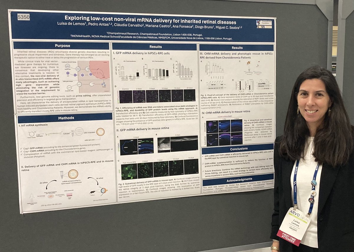 Luisa Lemos tweet media