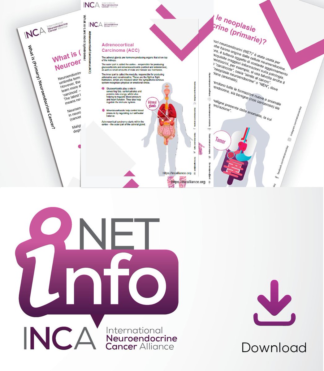 #AdrenocorticalCarcinoma (#ACC) can present with symptoms like muscle weakness, weight gain, reduced immunity, etc. ✅Let’s support HCPs to know more about ACC with #NETInfo in 11 languages: incalliance.org/net-info-packs/ #LetsTalkAboutNETs #EndoTwitter #MedEd #MedTwitter