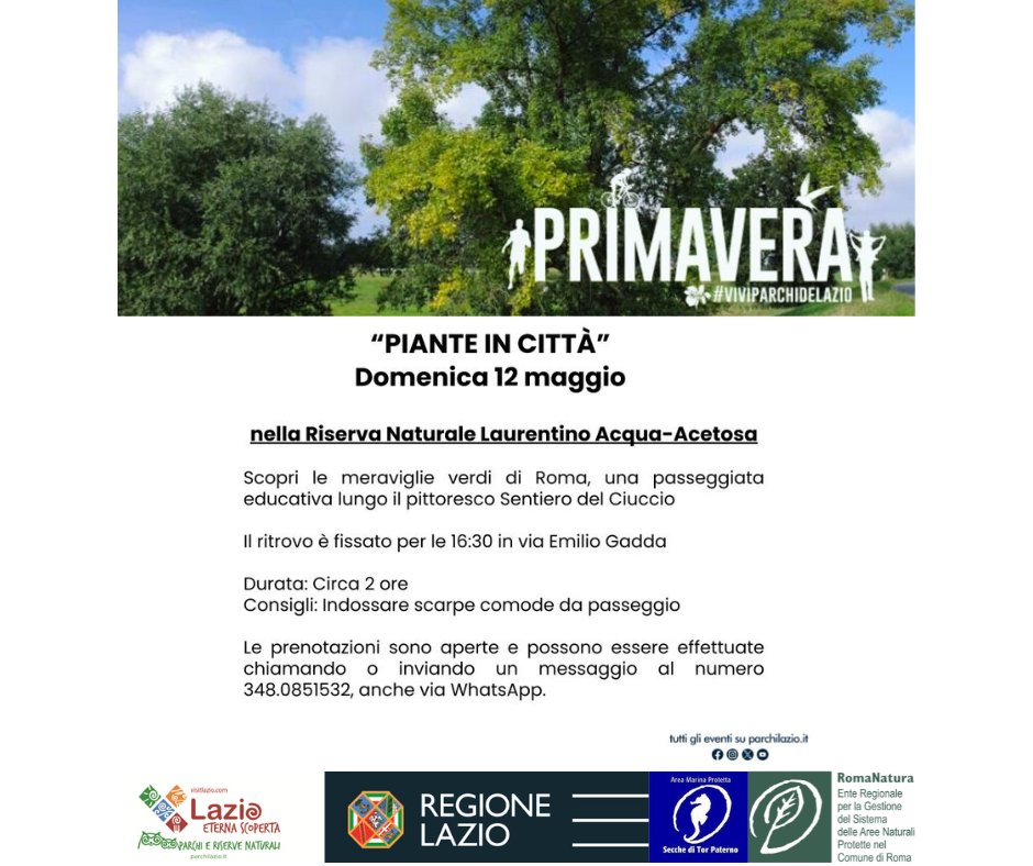 Domenica 12 Maggio 👉 “Piante in città” 

🌊Visita Guidata nella Riserva Naturale Laurentino Acqua-Acetosa

Leggi l’articolo completo su 🔗 romanatura.roma.it/evento/domenic…

<a href="/MarcoVisconti24/">MarcoVisconti</a> <a href="/RegioneLazio/">Regione Lazio</a> <a href="/ParchiLazio/">ParchiLazio</a>