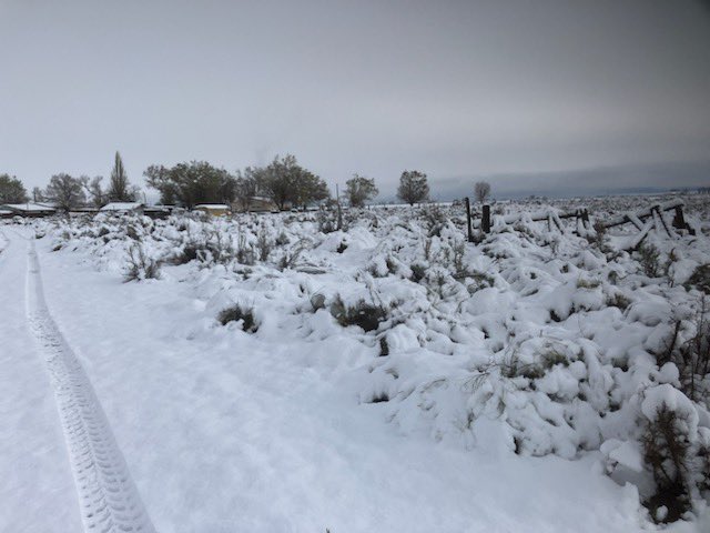 ClintRising's tweet photo. Snow at the farm this morning. Probably been 20+ years since I’ve seen snow this late. No power since 3am. 20 large transmission poles down. Broken trees everywhere https://t.co/8I0y3Ivv0p