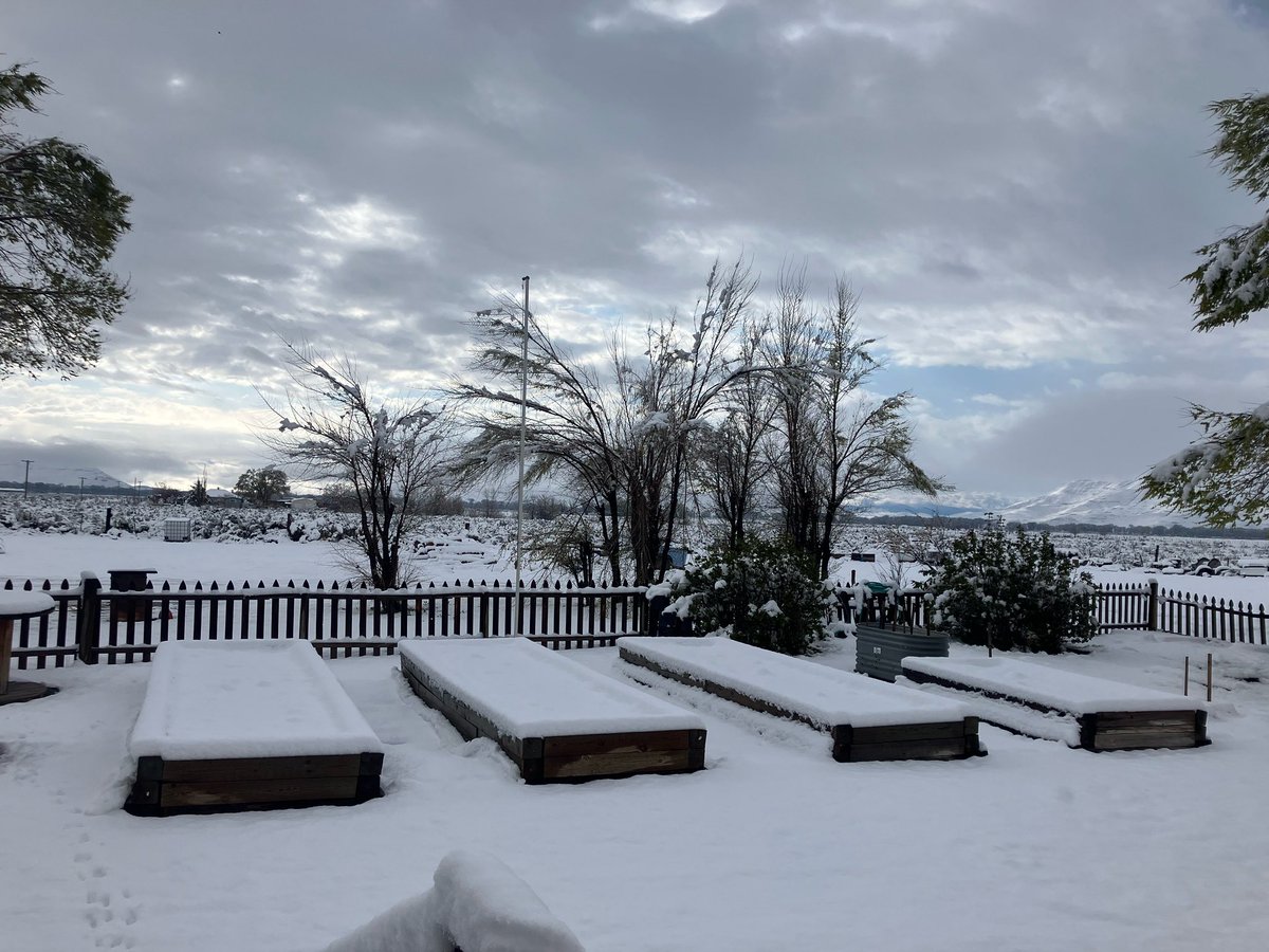 ClintRising's tweet photo. Snow at the farm this morning. Probably been 20+ years since I’ve seen snow this late. No power since 3am. 20 large transmission poles down. Broken trees everywhere https://t.co/8I0y3Ivv0p
