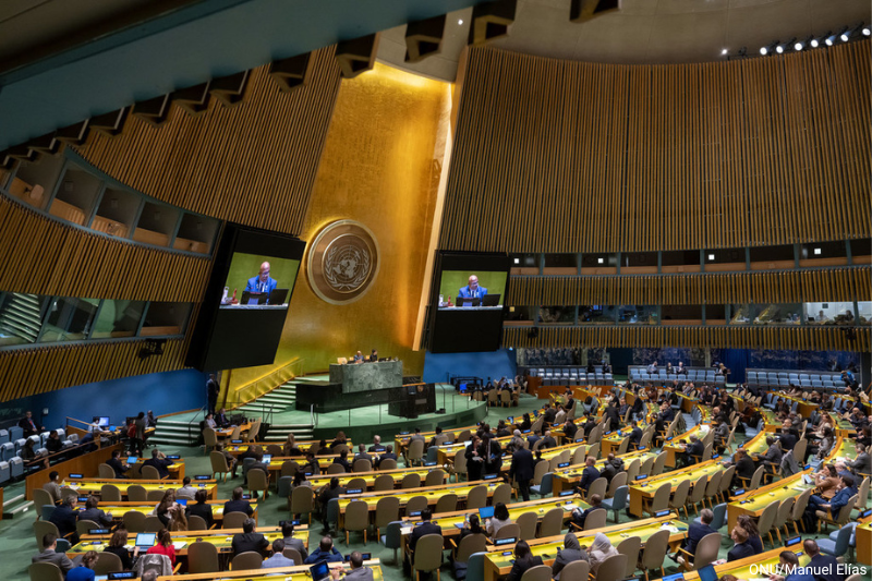A Assembleia Geral da ONU determina que o Estado da Palestina está qualificado e deve ser admitido como membro das Nações Unidas. A Assembleia Geral da ONU recomenda ainda que o Conselho de Segurança reconsidere a questão. un.org/en/ga/