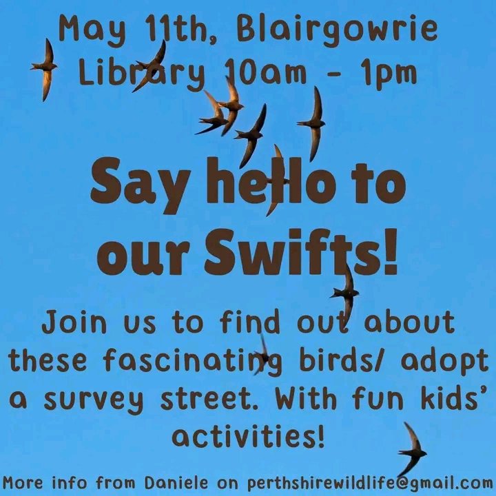 Remember our Swift event in #Blairgowrie tomorrow - everyone welcome.

#swiftconservation #saveourswifts