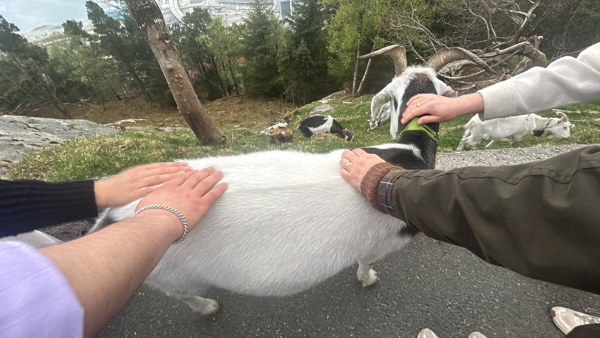 NeuroEndoAWF's tweet image. @OSSDtweets #OSSD2024 has been so wonderful! Not only has Bergen been a fantastic venue, but it’s always so refreshing to learn new science, talk about research, and meet new friends and connect with old ones. Can’t wait for the next one!