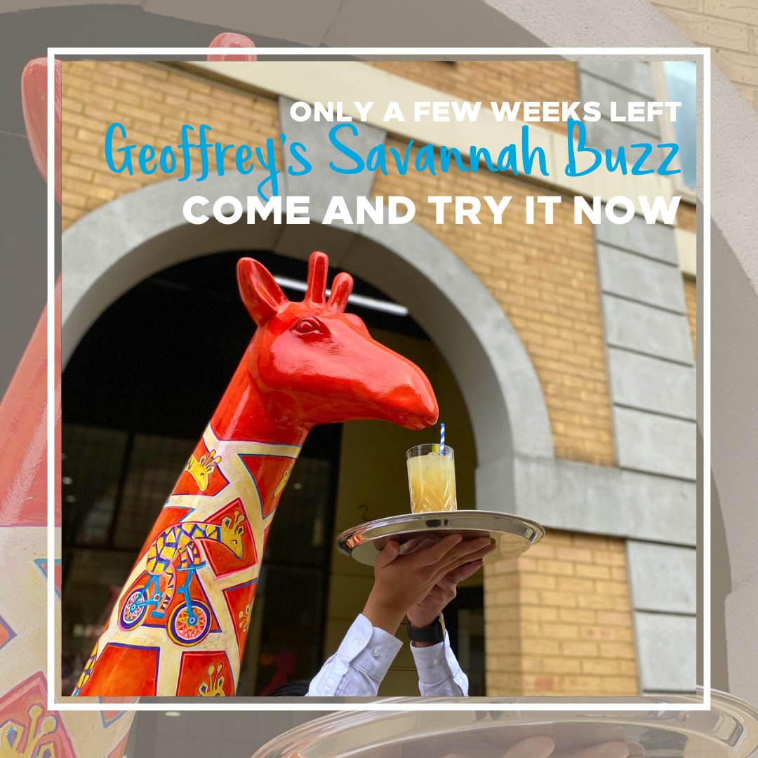 Time is running out to visit Geoffrey and savour his special cocktail, The Savannah Buzz! 🦒🍹 Don't miss out on this unique experience – book your table now! 🌿🍸