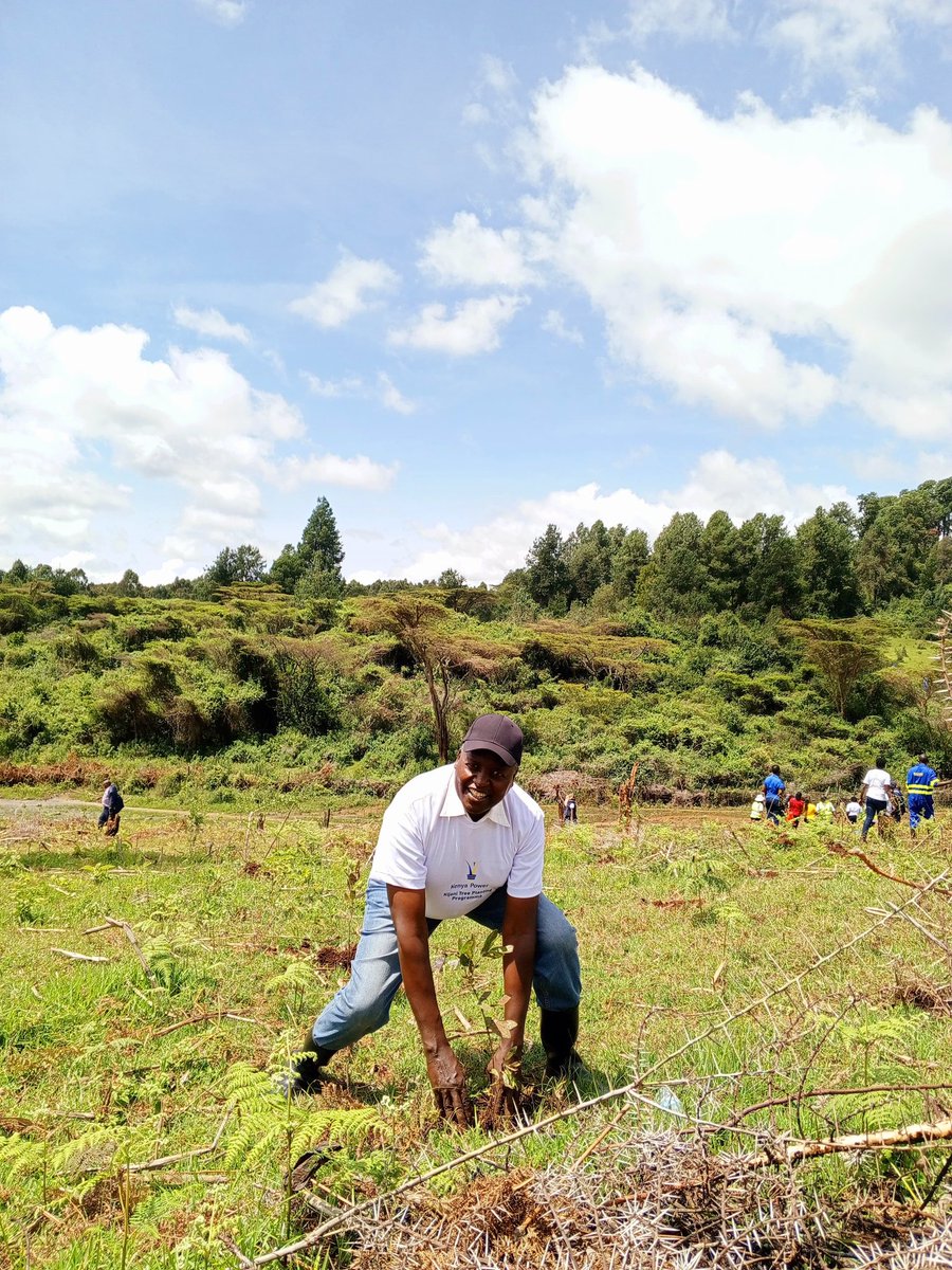 Board members, Kenya Power, Ruth Muiruri and Ezekiel Saina planting trees at today's National Tree-Planting Day. Exercise. Ume #JazaMiti? #TreePlantingDay #Towards15BillionTrees ^OS