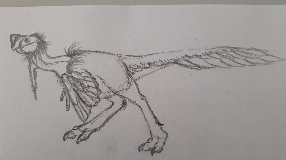 For this weeks #FossilFriday  I decided to draw a cute Oviraptor!